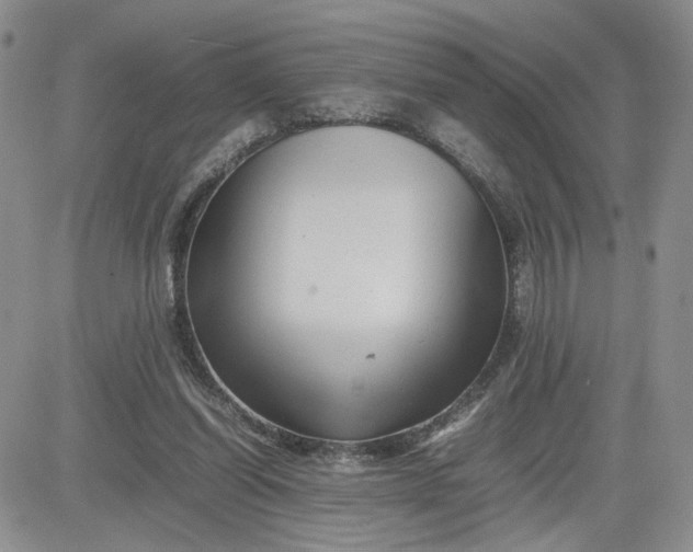 X0000081450254200701261920