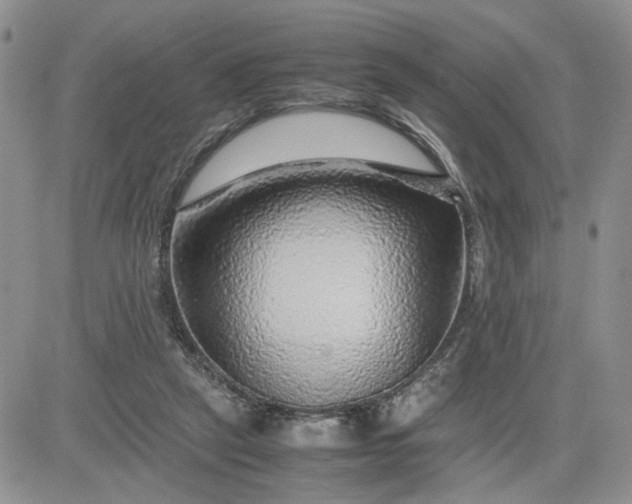 X0000081450257200701261920