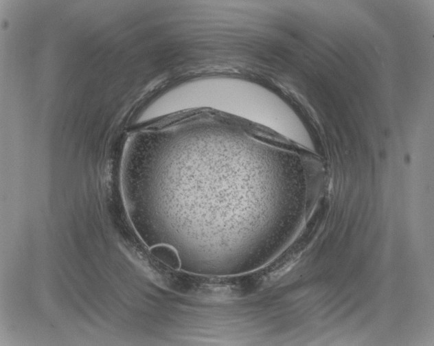 X0000081450260200701261920