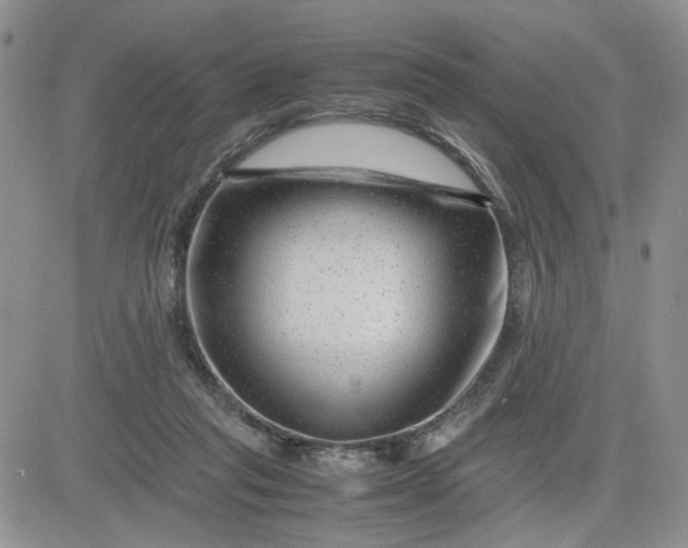 X0000081450261200701261920