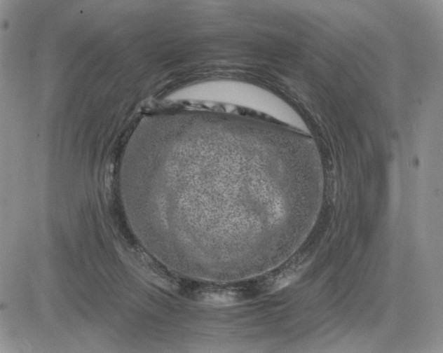 X0000081450263200701261920