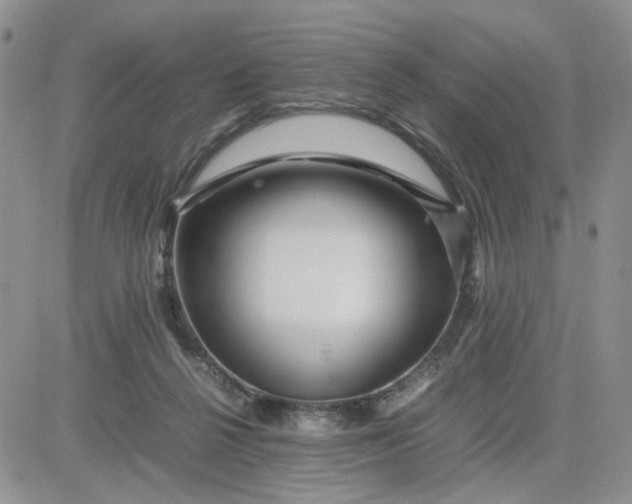 X0000081450264200701261920