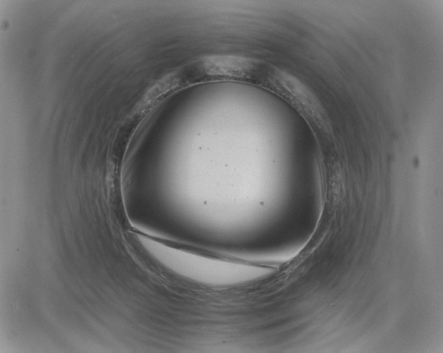 X0000081450265200701261920