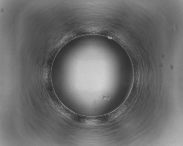 X0000081450268200701261920