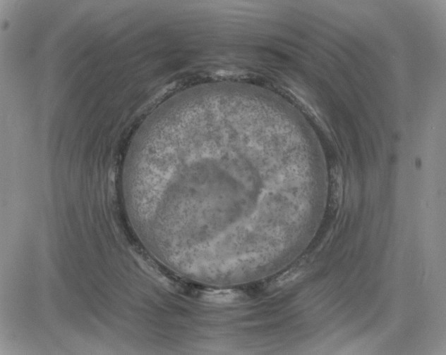 X0000081450269200701261920