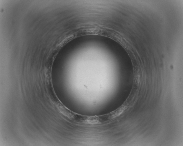 X0000081450270200701261920