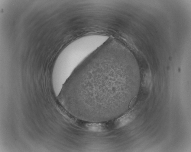 X0000081450273200701261920