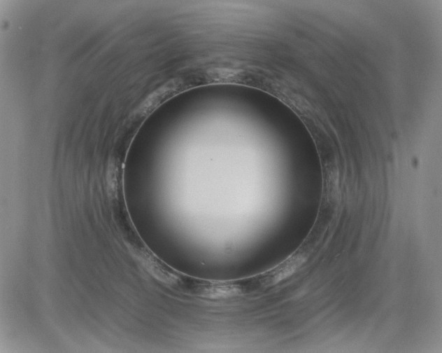 X0000081450274200701261920