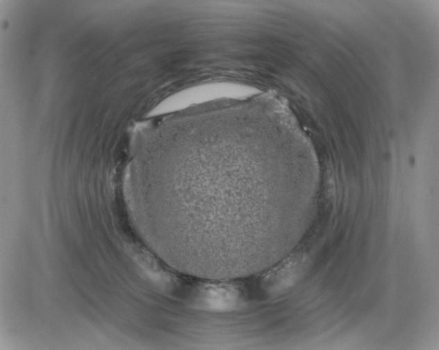 X0000081450275200701261920