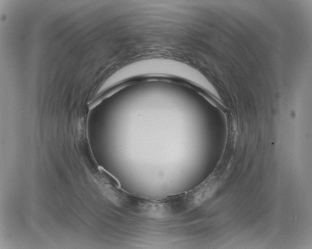 X0000081450276200701261920