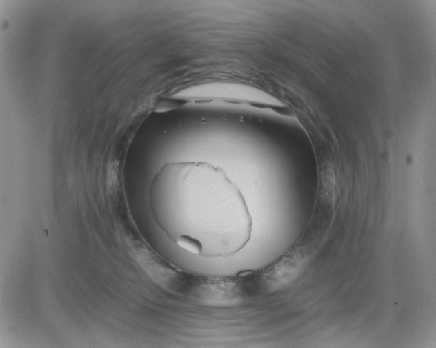 X0000081450278200701261920