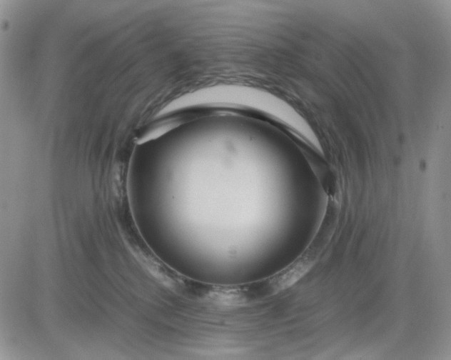 X0000081450280200701261920