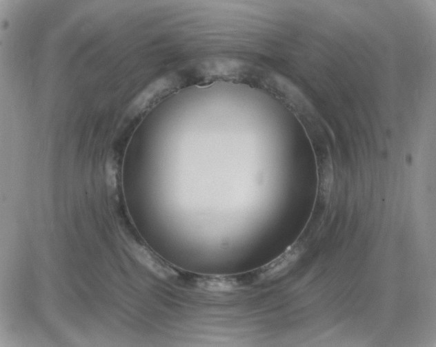 X0000081450282200701261920