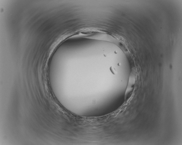 X0000081450289200701261920