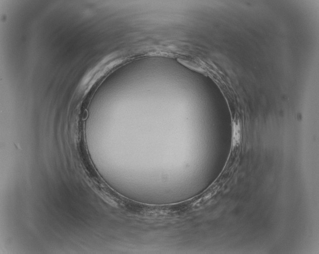 X0000081450291200701261920