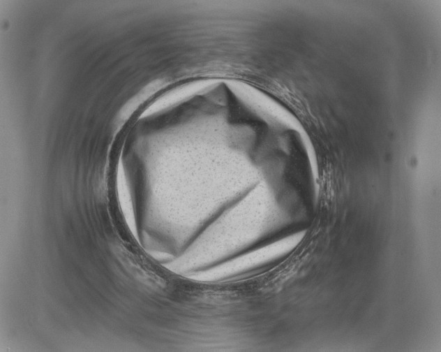 X0000081450292200701261920