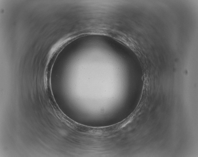 X0000081450294200701261919