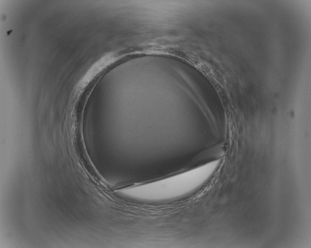 X0000081450295200701261919