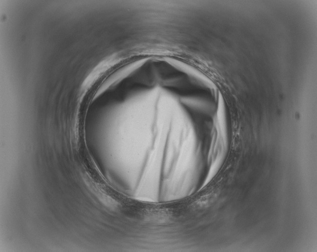 X0000081450296200701261919