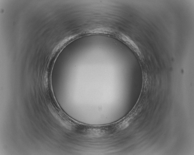 X0000081450298200701261919