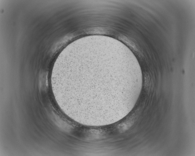 X0000081450302200701261919