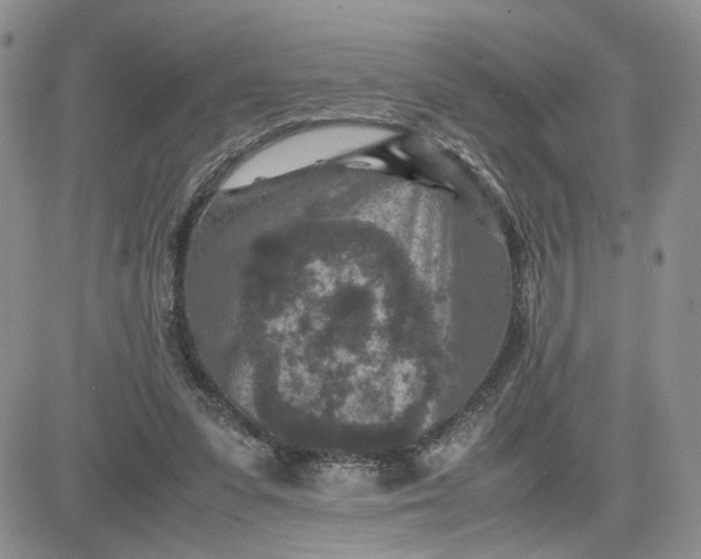 X0000081450303200701261919