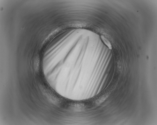 X0000081450304200701261919