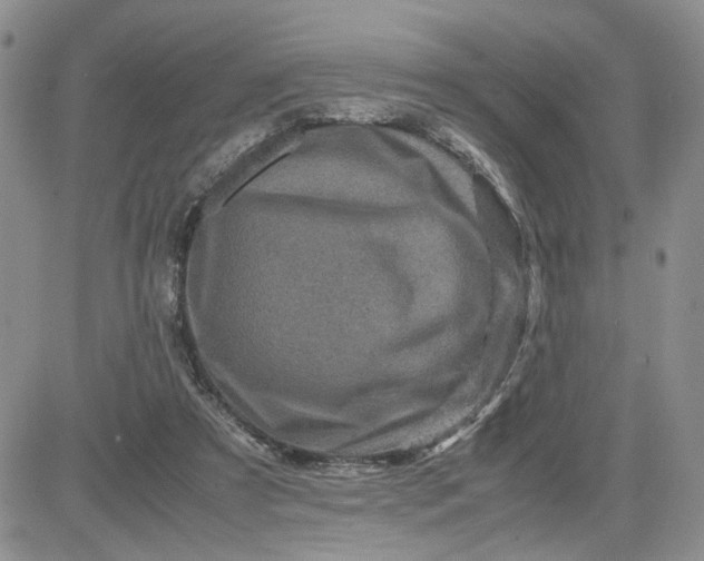 X0000081450305200701261919