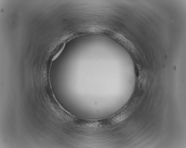 X0000081450306200701261919