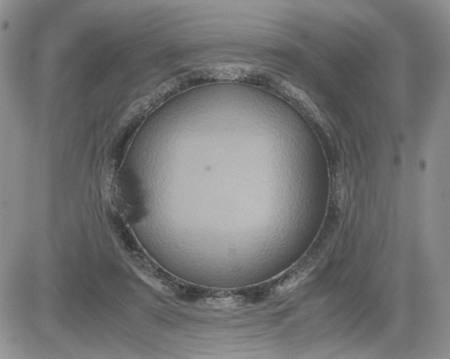 X0000081450307200701261919