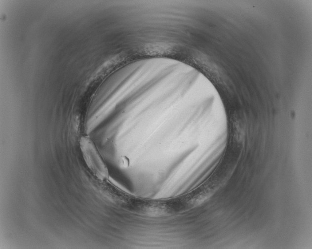 X0000081450308200701261919