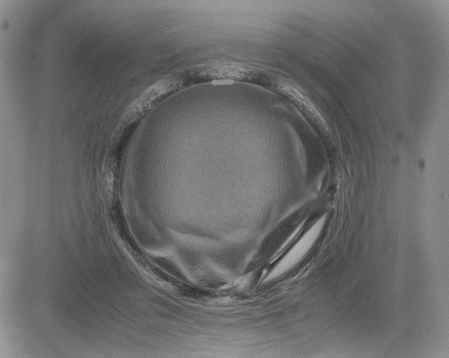 X0000081450309200701261919