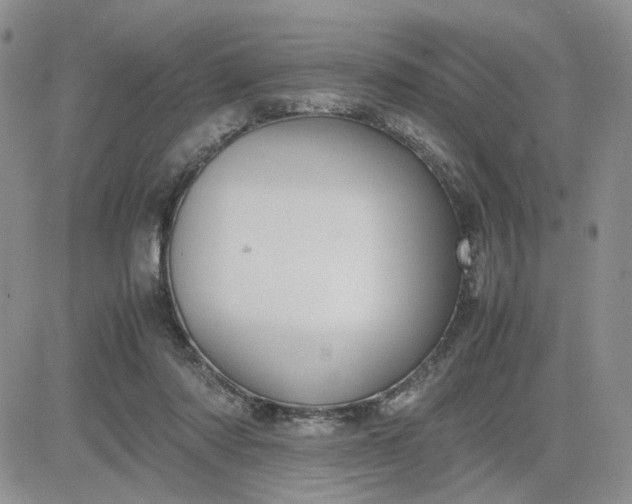 X0000081450310200701261919