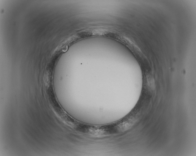 X0000081450311200701261919