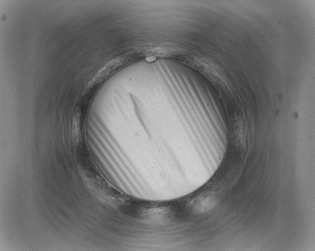 X0000081450312200701261919