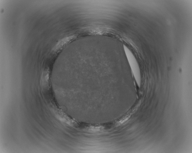 X0000081450314200701261919