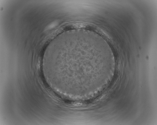 X0000081450315200701261919