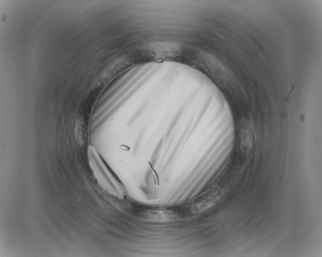 X0000081450316200701261919