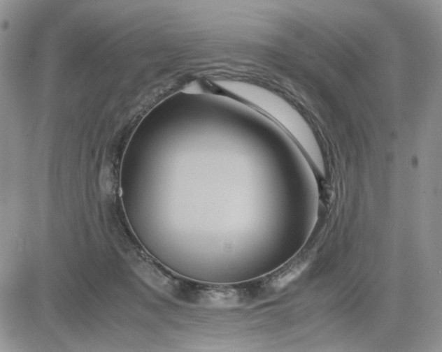 X0000081450317200701261919