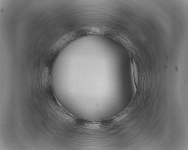 X0000081450318200701261919