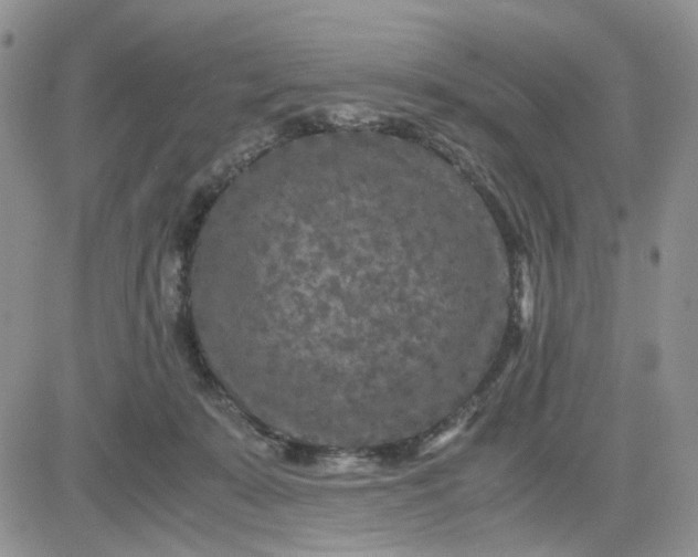 X0000081450319200701261919