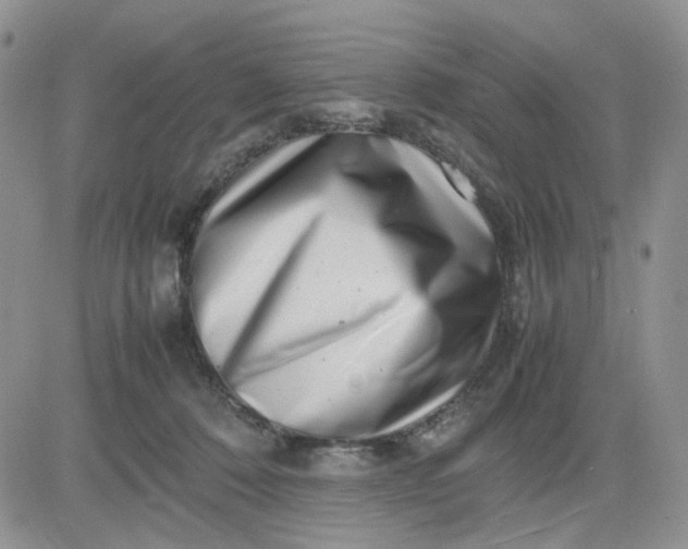 X0000081450320200701261919