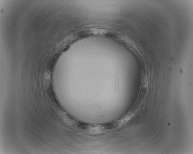 X0000081450321200701261919