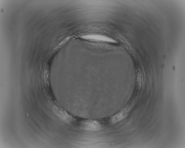 X0000081450322200701261919