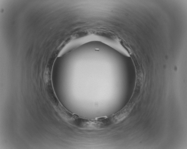 X0000081450323200701261919