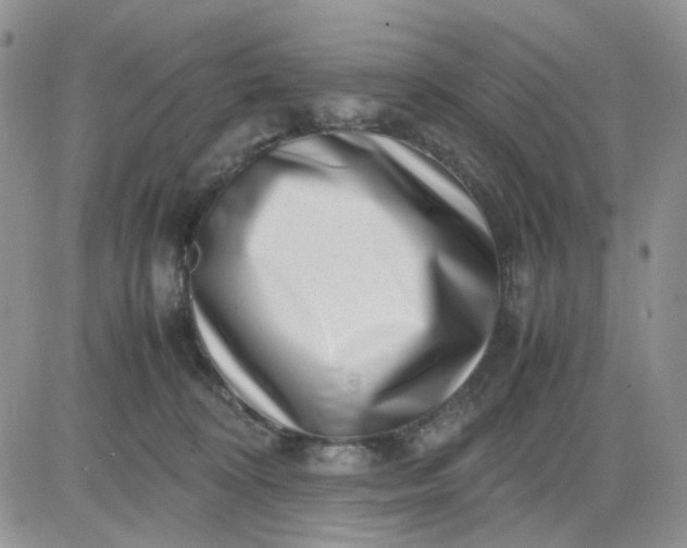 X0000081450324200701261919