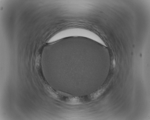 X0000081450325200701261919