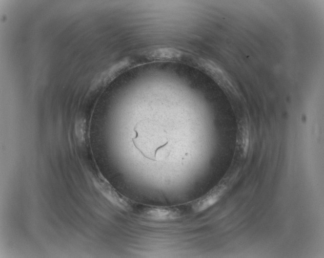 X0000081450326200701261919