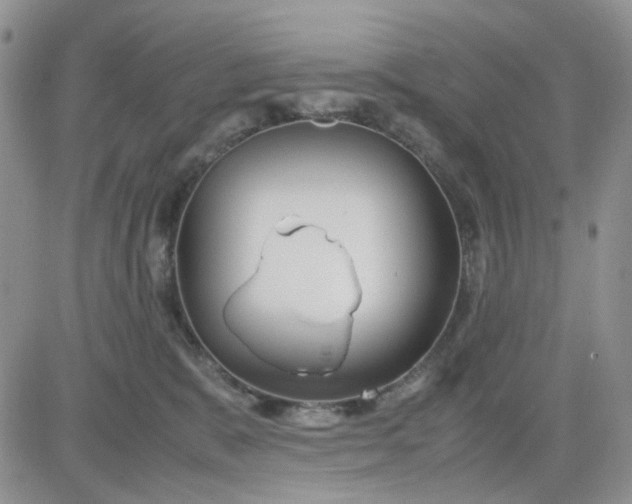 X0000081450327200701261919