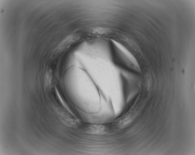 X0000081450328200701261919